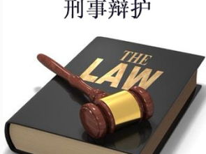 天津刑事辯護律師 專業咨詢與法律保障的橋梁